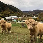 Prive Avec Vue Panoramique Sur Les Montagnes & Proche *