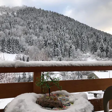 Chalet Individuel - Proche Stations De Ski&vue Sur Les Montagnes La Bresse