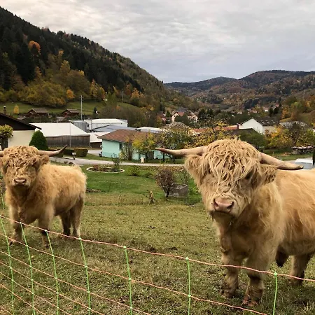 Individuel - Panoramique Montagnes & Proche *
