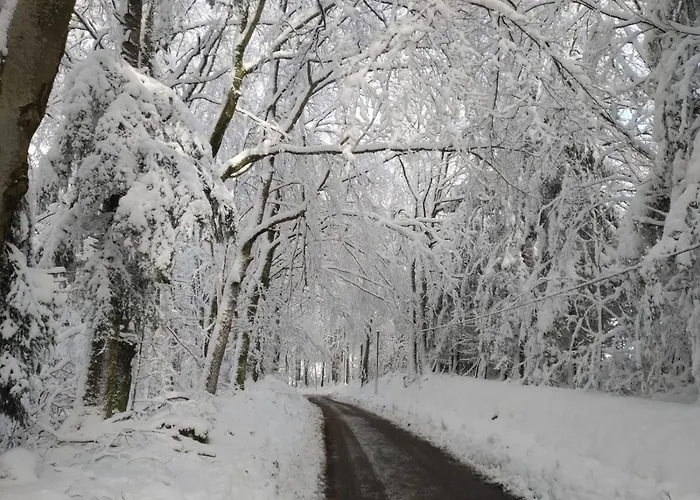 Prive Avec Vue Panoramique Sur Les Montagnes & Proche Chalet *