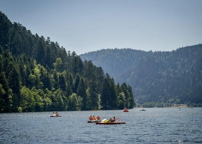 Prive Avec Vue Panoramique Sur Les Montagnes & Proche