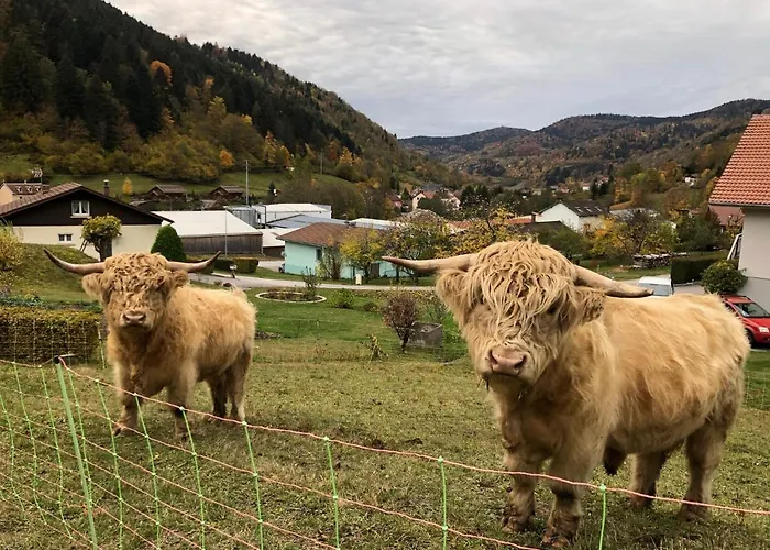 Prive Avec Vue Panoramique Sur Les Montagnes & Proche *