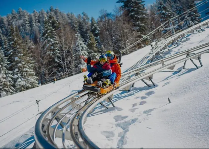 Prive Avec Vue Panoramique Sur Les Montagnes & Proche La Bresse
